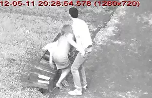 Mỡ bôi gia kem và Th ...