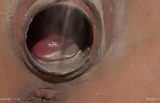 Mát mẻ ý nhóm trong  ...