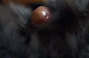 Khiêu dâm lựa chọn k ...