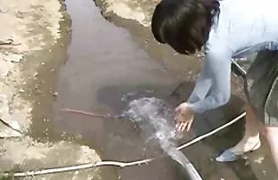 Mùa hè, những giấc m ...
